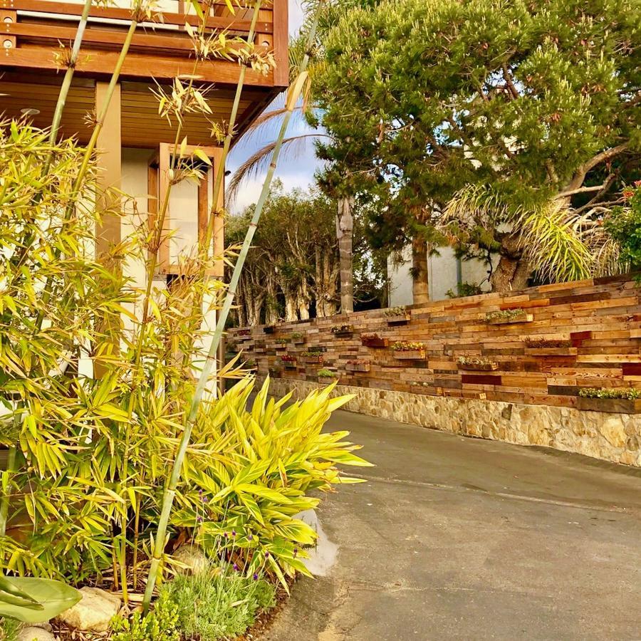 Inn At Moonlight Beach Encinitas Kültér fotó